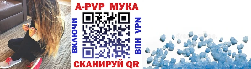 как найти закладки Игра Alpha PVP СК КРИС
