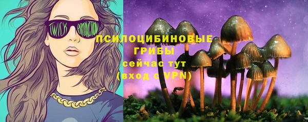 марки nbome Алексеевка